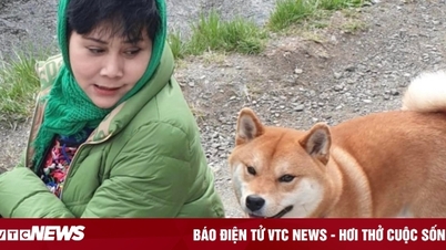 人民芸術家のミン・ハンさんは、2万平方メートルのガーデンハウスで猫や犬と仲良く一人暮らしをしている。