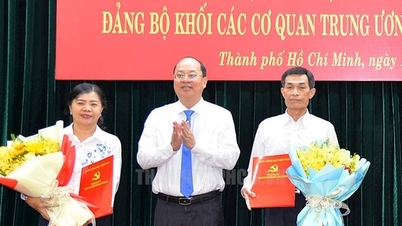 El Comité Permanente del Comité del Partido de Ciudad Ho Chi Minh moviliza y nombra personal