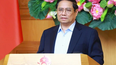 Prime Minister: Gradually make English the second language in training