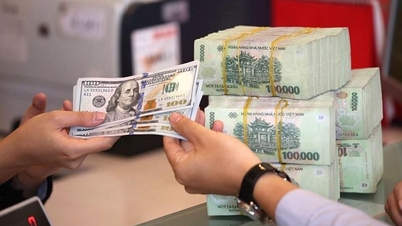 Khó khăn, thách thức của thị trường ngoại tệ trong nước chỉ là ngắn hạn