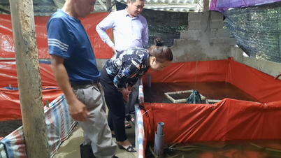 ការចម្លងគំរូប្រើប្រាស់ទឹកឡើងវិញដើម្បីការពារបរិស្ថាន