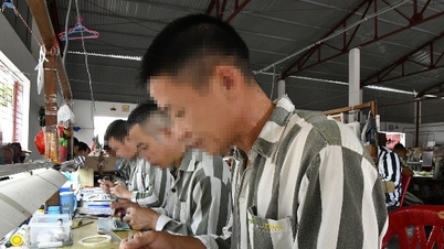 마약 운전으로 사망한 운전자, 철창 뒤에서 회개