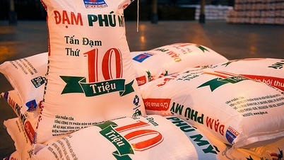 Lợi nhuận ngành phân bón giảm mạnh theo giá bán