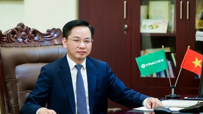 Tập đoàn Hóa chất Việt Nam có tổng giám đốc mới