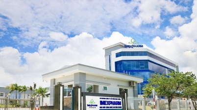 Imexpharm (IMP) lợi nhuận giảm, dự kiến trả cổ tức tỷ lệ 20%