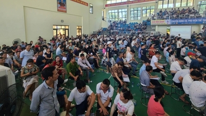 Huyện Thanh Oai dừng phiên đấu giá 57 lô đất, trả lại tiền đặt cọc