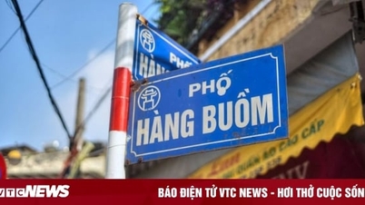 Sau 7 lần rao bán đấu giá, đất vàng mặt phố cổ Hà Nội giảm mất nửa