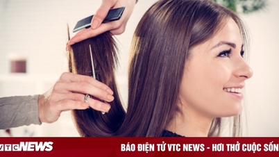 À quelle fréquence dois-je me faire couper les cheveux ?