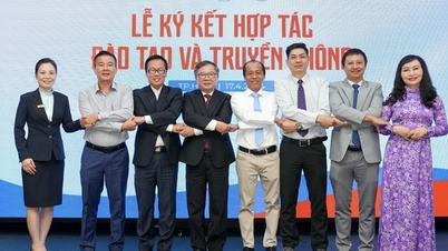 ការ​បង្កើត​សហ​ការ​, ការ​ទទួល​ខុស​ត្រូវ​រួម​