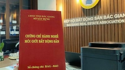 Hơn 500 người được sát hạch cấp chứng chỉ hành nghề môi giới bất động sản |=> Đăng trên báo Bắc Giang