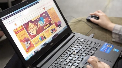 Vietnam's e-commerce growth is among the top in the world