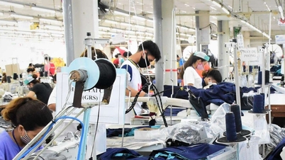 Chính phủ yêu cầu tích cực hỗ trợ doanh nghiệp duy trì, phát triển sản xuất