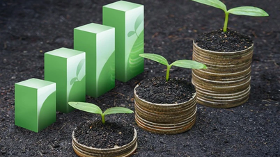Companies finalize dividend payments, week from August 19 to 23