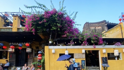 Ngẩn ngơ Hội An tím màu hoa giấy