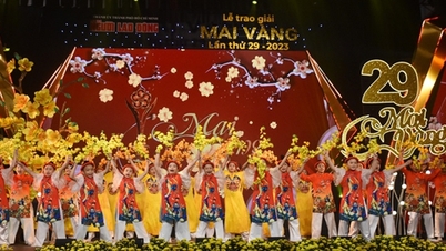 Đề cử Giải Mai Vàng lần thứ 30