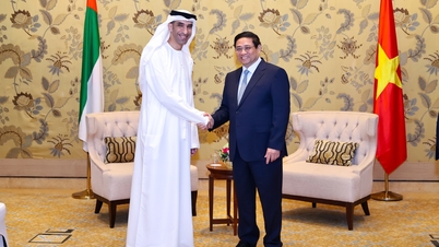 វៀតណាម - UAE រំពឹងថានឹងចុះហត្ថលេខាលើកិច្ចព្រមព្រៀងភាពជាដៃគូសេដ្ឋកិច្ចទូលំទូលាយនៅឆ្នាំក្រោយ