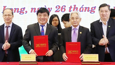 Báo Tuổi Trẻ ký kết hợp tác với Trường đại học Cửu Long