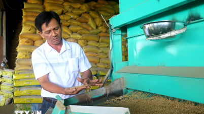 Can Tho: "Rice Seed Billionaire" is twice an Outstanding Vietnamese Farmer