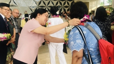 ស្វែងយល់ទីផ្សារទេសចរណ៍ហាឡាល់នៅវៀតណាម