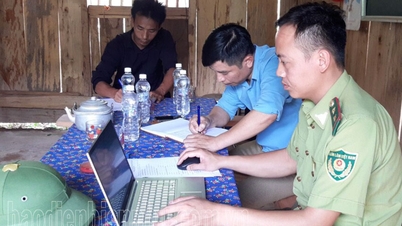Bất cập quản lý bảo vệ rừng giáp ranh