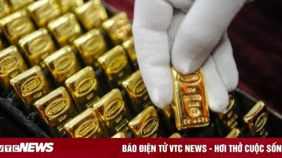 Proposing the Ministry of Public Security and the Ministry of Finance to coordinate in managing the gold market