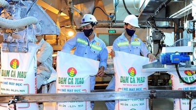 פנינת הזהב של העונה ארבע פעמים ברציפות זכתה בתואר מותג לאומי