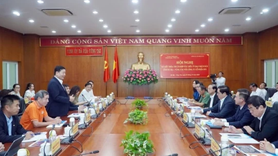 Bà Rịa - Vũng Tàu: Xây dựng chiến lược chuyển đổi số tập trung vào 4 trụ cột
