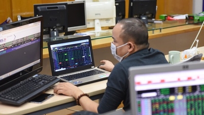 Nhiều cổ phiếu bị cảnh báo do chậm nộp báo cáo tài chính soát xét bán niên