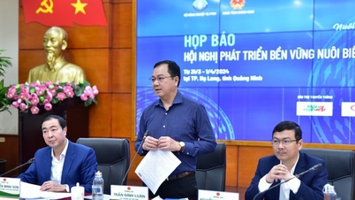 Quảng Ninh sẽ công bố vùng 'biển sạch' để thu hút doanh nghiệp đầu tư nuôi biển