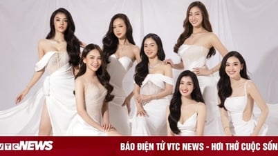 Miss Grand VN and Miss World VN contestants were asked to buy the award, what did the Organizing Committee Chief say?