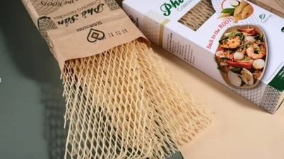 Caromi Pure Cassava Pho: Culinary Essence នៅជាន់វៀតណាម