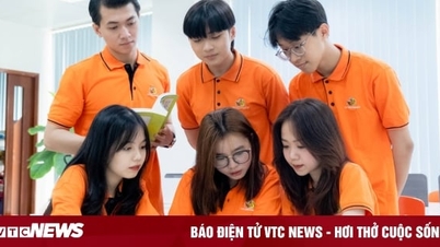 Cơ hội việc làm của ngành Tài chính
