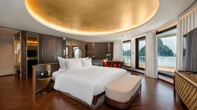 ដំណើរកម្សាន្ត Sa Pa និង Ha Long 'លក់អស់' ក្នុងឱកាស។ ថ្ងៃចូលឆ្នាំថ្មី