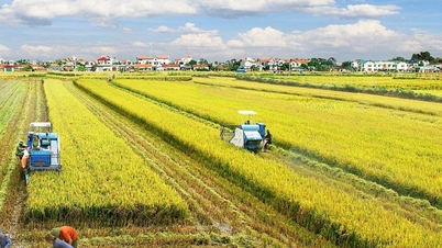Thái Bình thành trung tâm sản xuất nông nghiệp hàng đầu vào năm 2030
