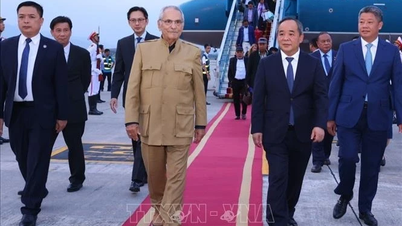Củng cố quan hệ hữu nghị và hợp tác Việt Nam-Timor Leste