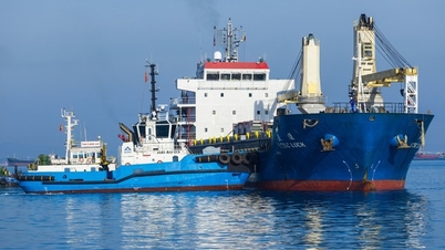 Cảng tổng hợp container ngàn tỉ của Hòa Phát đón chuyến tàu thương mại đầu tiên