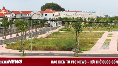 Phải tăng mạnh mức phạt với những hành vi có dấu hiệu phá hoại đấu giá đất