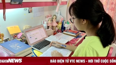 Should homework be given to students during Tet?