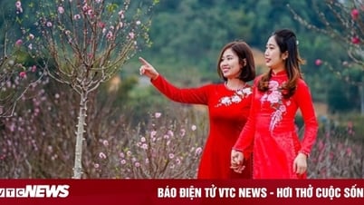 Legen Sie der Regierung den Plan für die Feiertage zum chinesischen Neujahr und den Nationalfeiertag im Jahr 2024 vor.