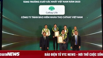 Cathay Life Việt Nam đạt Top 500 doanh nghiệp tăng trưởng nhanh nhất năm 2023