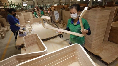 Forestry industry targets export of 17.5 billion USD in 2024