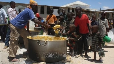 The problem is that every few seconds someone dies of hunger or adversity in a world of plenty.