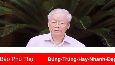 Sơ kết một năm hoạt động của Ban Chỉ đạo phòng, chống tham nhũng, tiêu cực cấp tỉnh