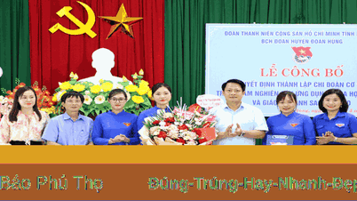 Đoan Hùng ra mắt Chi đoàn thanh niên trong khối doanh nghiệp​