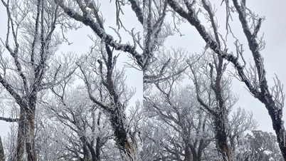 Frost covers Phja Oac and Mau Son peaks