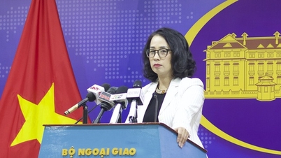 Vietnam speaks out about the possibility of joining BRICS