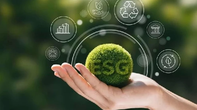 Many business leaders still don't understand ESG