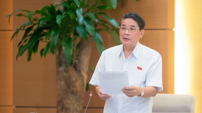 Xác định giá khởi điểm cho tất cả "số đẹp"
