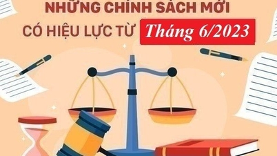 Những chính sách mới nổi bật có hiệu lực từ tháng 6/2023