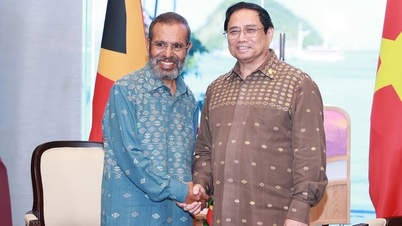 Promoting Vietnam-Timor-Leste bilateral relations to new heights